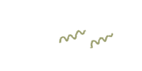 a black background with two wavy lines on it