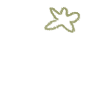 a green star with a black background