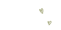 a pair of green leaves on a black background