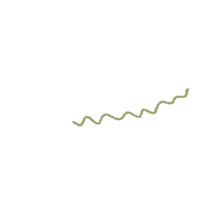 a green wavy line on a black background