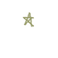 a green star on a black background