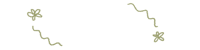 a green drawing of a flower with a black background